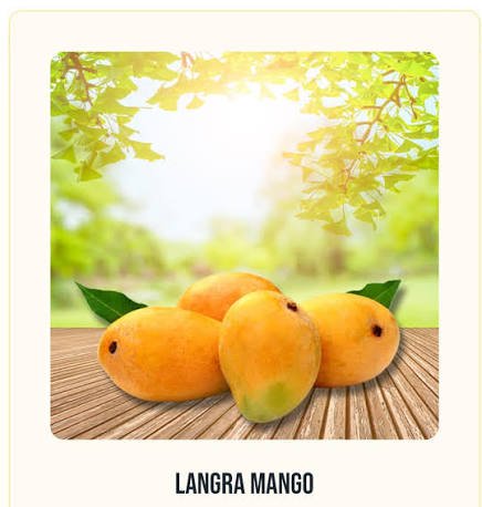 wholesale dry mango in Pakistan